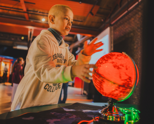 Credit photo : Wannes Nimmegeers